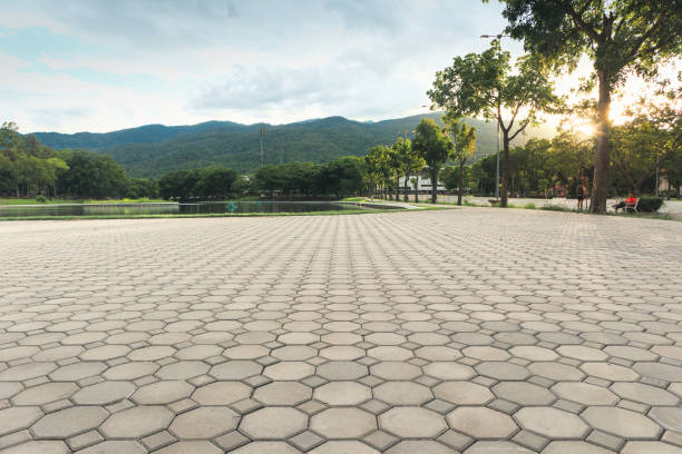 Trusted Pickens, MS Driveway Pavers Experts
