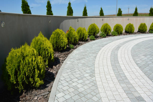 Best Decorative Driveway Pavers  in Pickens, MS